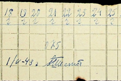 241