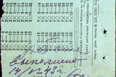 241