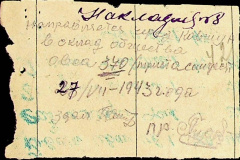 241