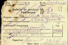 241