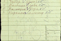 241