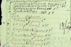 241