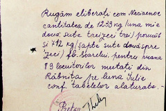 241