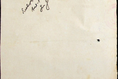 241