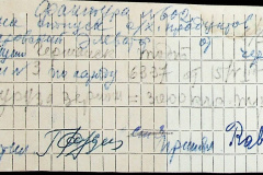 241