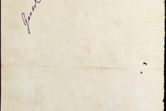 241