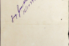 241