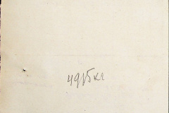241