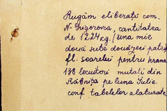 241