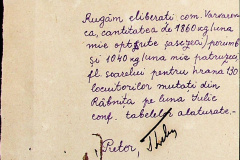 241