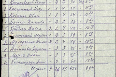 241