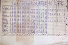 241