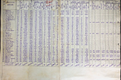 241