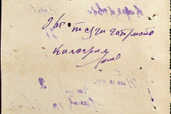 241