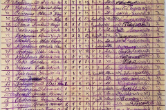 241