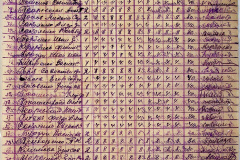 241