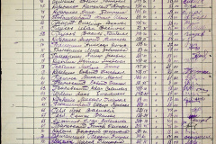 241