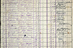 241