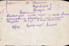 241