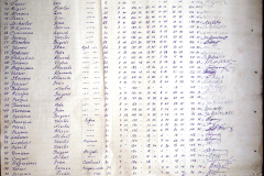 241