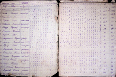 241
