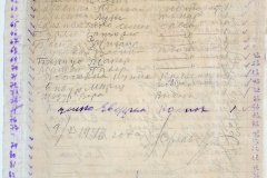 241