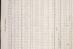 241