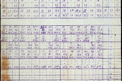 241