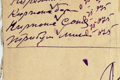 241