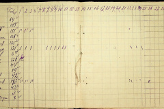 241