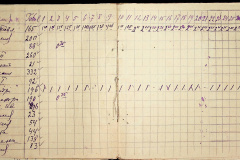 241