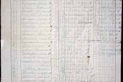 241