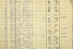 241
