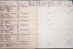 241