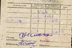 256