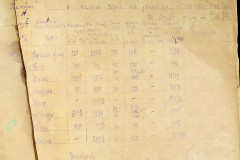 256