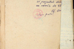 256