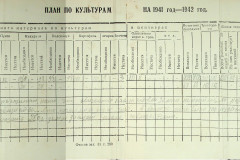 256