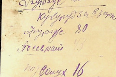 256