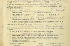256
