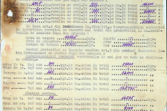 256