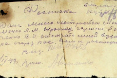 256