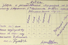 256
