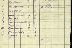256
