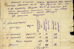 256