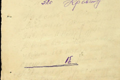256