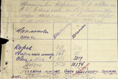 256