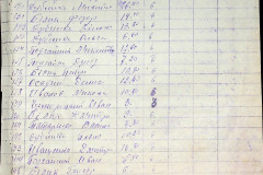 256