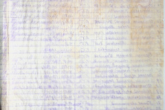 256