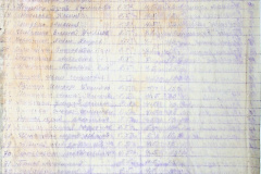 256